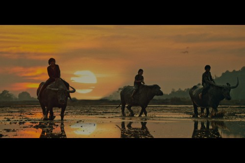    ĐẤT RỪNG PHƯƠNG NAM BẢN ĐIỆN ẢNH TUNG TEASER TRAILER, TIẾT LỘ BỐI CẢNH HOÀNH TRÁNG MỞ MÀN CHO CUỘC PHIÊU LƯU HUYỀN THOẠI VỀ PHƯƠNG NAM