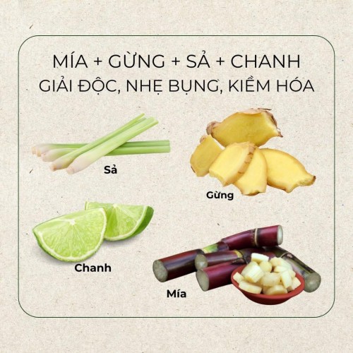 MÍA GỪNG SẢ CHANH – THỨC UỐNG GIẢI ĐỘC, NHẸ BỤNG, KIỀM HÓA CƠ THỂ MỖI NGÀY