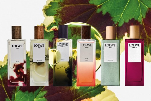 KHÁM PHÁ CẢM XÚC TÌNH YÊU MÙA VALENTINE QUA LĂNG KÍNH MÙI HƯƠNG LOEWE