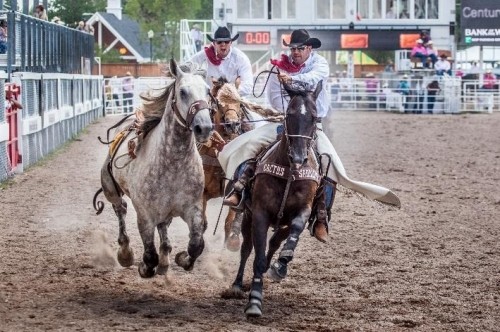 Trải nghiệm trang trại trên khắp nước Mỹ: Nơi văn hóa cao bồi hòa quyện cùng kỳ nghỉ gia đình