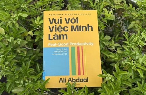 ‘Vui với việc mình làm’ - Bí mật của năng suất không nằm ở kỷ luật, mà ở niềm vui