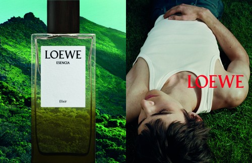 Cùng ngắm nhìn chiến dịch quảng bá nước hoa LOEWE đầu tiên của Jack McCollough và Lazaro Hernandez.
